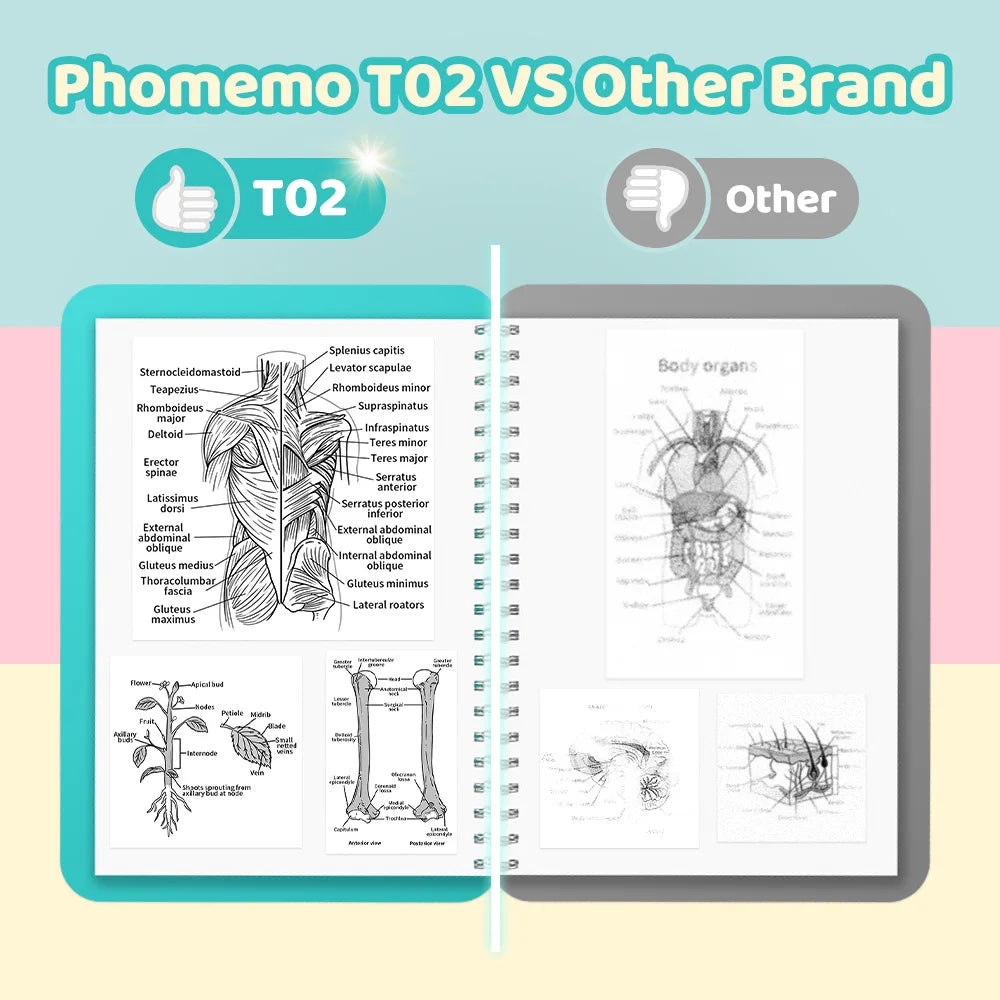 Impresora Térmica Portátil Phomemo T02